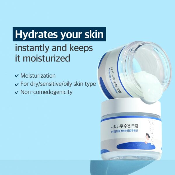 Version 1.0.0 Hidratante Gel Birch Juice Moisturizing Cream de ROUND LAB 80ml